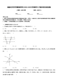 湖南长沙市中学雅培粹学校2022-2023学年数学七下期末综合测试试题含答案