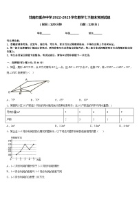 甘南市重点中学2022-2023学年数学七下期末预测试题含答案