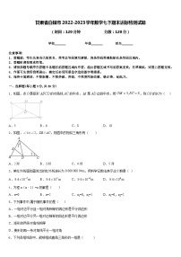 甘肃省白银市2022-2023学年数学七下期末达标检测试题含答案