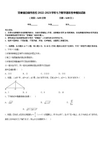 甘肃省白银市名校2022-2023学年七下数学期末统考模拟试题含答案