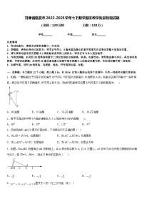 甘肃省临夏市2022-2023学年七下数学期末教学质量检测试题含答案