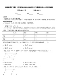 湖南省岳阳市城区十四校联考2022-2023学年七下数学期末学业水平测试试题含答案