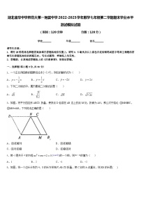 湖北省华中学师范大第一附属中学2022-2023学年数学七年级第二学期期末学业水平测试模拟试题含答案