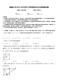 海南省三亚2022-2023学年七下数学期末学业水平测试模拟试题含答案