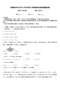 甘肃省天水市2022-2023学年七下数学期末达标检测模拟试题含答案