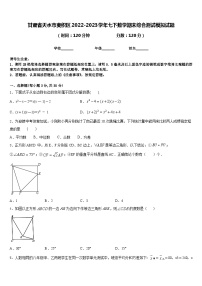 甘肃省天水市麦积区2022-2023学年七下数学期末综合测试模拟试题含答案