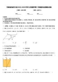 甘肃省武威市九级2022-2023学年七年级数学第二学期期末监测模拟试题含答案