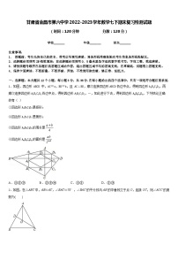 甘肃省金昌市第六中学2022-2023学年数学七下期末复习检测试题含答案