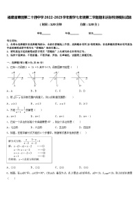 福建省莆田第二十四中学2022-2023学年数学七年级第二学期期末达标检测模拟试题含答案