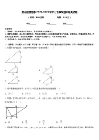 贵州省贵阳市2022-2023学年七下数学期末经典试题含答案