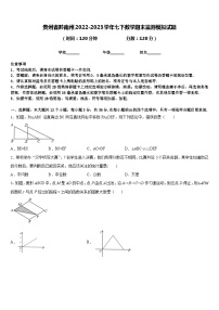 贵州省黔南州2022-2023学年七下数学期末监测模拟试题含答案