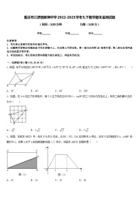 重庆市江津田家炳中学2022-2023学年七下数学期末监测试题含答案