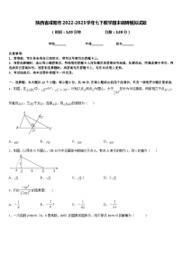 陕西省咸阳市2022-2023学年七下数学期末调研模拟试题含答案