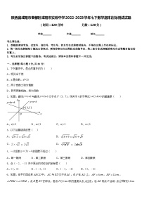 陕西省咸阳市秦都区咸阳市实验中学2022-2023学年七下数学期末达标测试试题含答案