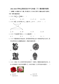 山西省长治市第六中学2022-2023学年下学期七年级期末数学试卷（含答案）