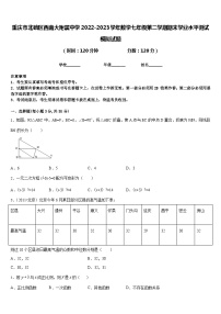 重庆市北碚区西南大附属中学2022-2023学年数学七年级第二学期期末学业水平测试模拟试题含答案