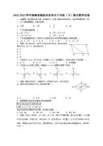 2022-2023学年湖南省湘西州吉首市八年级（下）期末数学试卷（含解析）