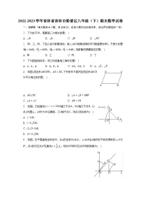 2022-2023学年吉林省吉林市船营区八年级（下）期末数学试卷（含解析）