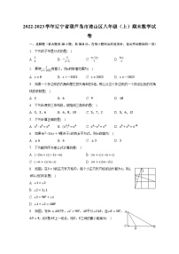 2022-2023学年辽宁省葫芦岛市连山区八年级（上）期末数学试卷（含解析）