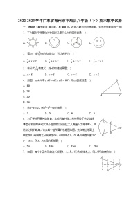 2022-2023学年广东省梅州市丰顺县八年级（下）期末数学试卷（含解析）