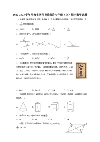 2022-2023学年河南省洛阳市汝阳县七年级（上）期末数学试卷（含解析）