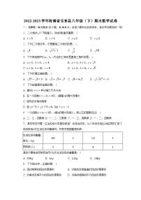 2022-2023学年海南省乐东县八年级（下）期末数学试卷（含解析）