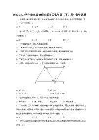 2022-2023学年山东省德州市经开区七年级（下）期中数学试卷（含解析）