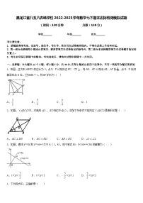 黑龙江省八五八农场学校2022-2023学年数学七下期末达标检测模拟试题含答案