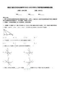 黑龙江省东方红林业局中学2022-2023学年七下数学期末调研模拟试题含答案