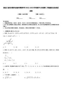 黑龙江省佳木斯市富锦市第四中学2022-2023学年数学七年级第二学期期末达标测试试题含答案