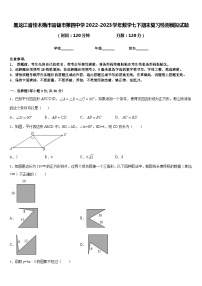 黑龙江省佳木斯市富锦市第四中学2022-2023学年数学七下期末复习检测模拟试题含答案