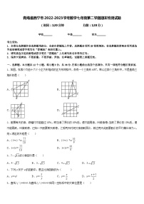 青海省西宁市2022-2023学年数学七年级第二学期期末检测试题含答案