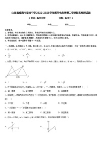 山东省威海市实验中学2022-2023学年数学七年级第二学期期末预测试题含答案