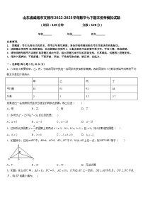 山东省威海市文登市2022-2023学年数学七下期末统考模拟试题含答案