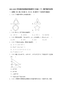 2022-2023学年陕西省渭南市临渭区八年级下学期期中数学试卷（含解析）