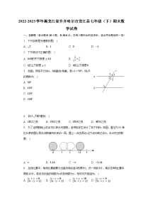 2022-2023学年黑龙江省齐齐哈尔市龙江县七年级（下）期末数学试卷（含解析）