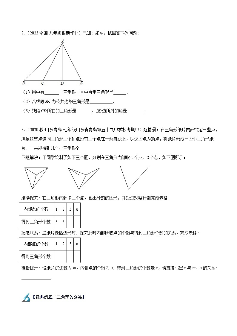 专题03 三角形章末重难点题型专训-2023-2024学年八年级数学上册重难点专题提升精讲精练（人教版）02