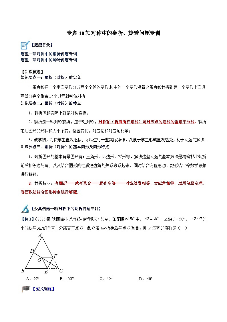 专题10 轴对称中的翻折、旋转问题专训-2023-2024学年八年级数学上册重难点专题提升精讲精练（人教版）01