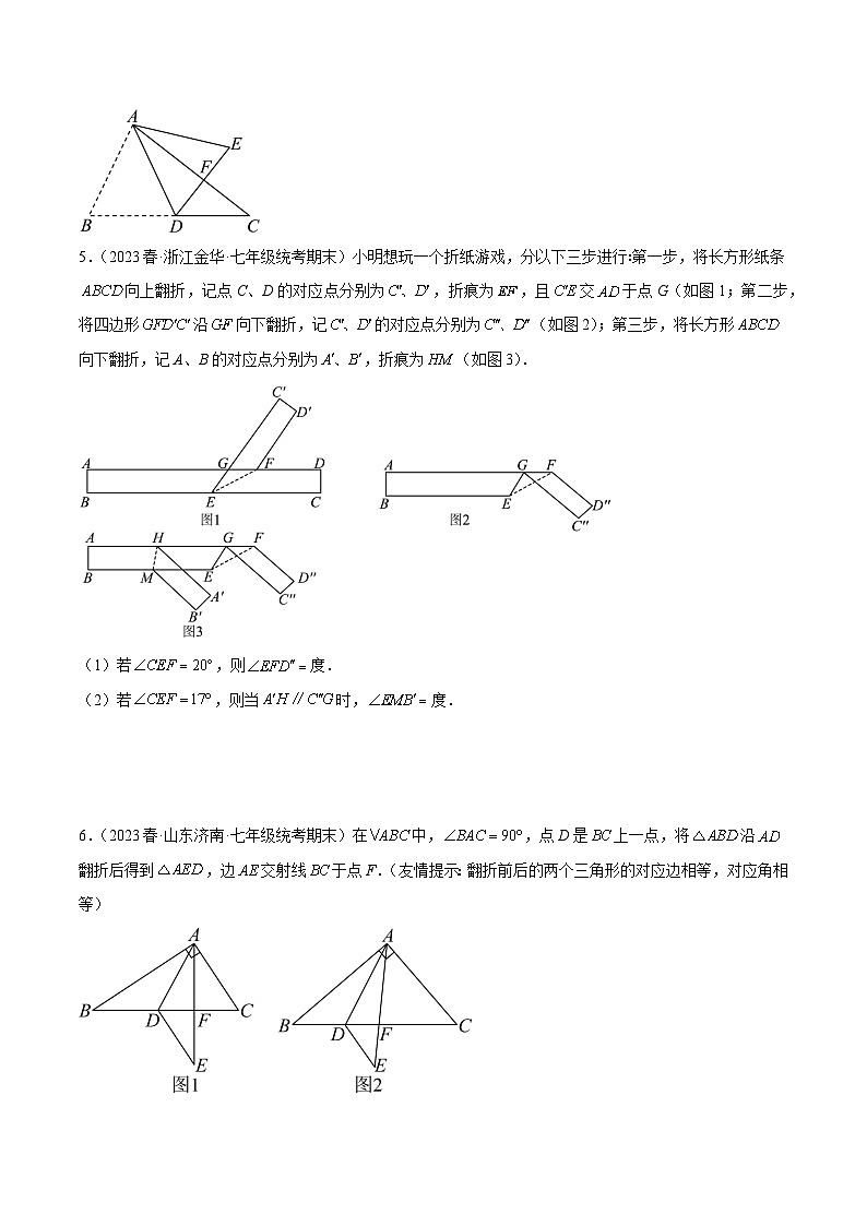 专题10 轴对称中的翻折、旋转问题专训-2023-2024学年八年级数学上册重难点专题提升精讲精练（人教版）03
