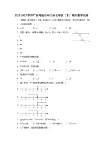 2022-2023学年广西河池市环江县七年级（下）期末数学试卷（含解析）