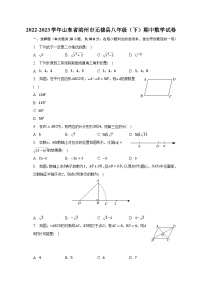 2022-2023学年山东省滨州市无棣县八年级（下）期中数学试卷（含解析）