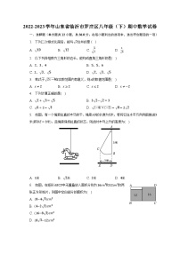 2022-2023学年山东省临沂市罗庄区八年级（下）期中数学试卷（含解析）