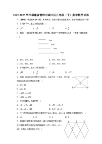 2022-2023学年福建省莆田市涵江区八年级（下）期中数学试卷（含解析）