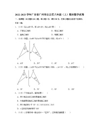 2022-2023学年广东省广州市白云区八年级上学期期末数学试卷（含解析）