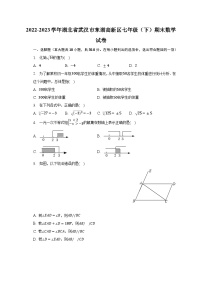 2022-2023学年湖北省武汉市东湖高新区七年级（下）期末数学试卷（含解析）