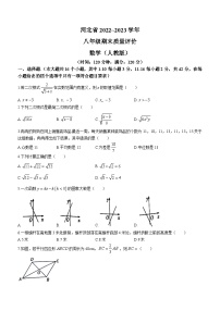 河北省邯郸市邯郸冀南新区育华实验学校2022-2023学年八年级下学期6月月考数学试题（第四次月考）