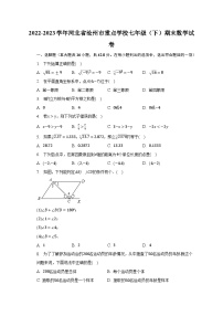 2022-2023学年河北省沧州市重点学校七年级（下）期末数学试卷（含解析）