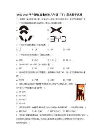 2022-2023学年浙江省衢州市八年级（下）期末数学试卷（含解析）