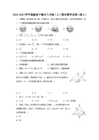 2022-2023学年福建省宁德市八年级（上）期末数学试卷（线上）（含解析）