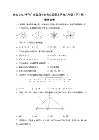 2022-2023学年广东省茂名市电白区崇文学校八年级（下）期中数学试卷（含解析）